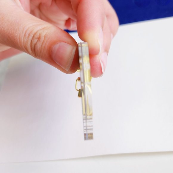 Bernese Mountain Dog Keychain, Clear Acrylic Holo Dog Breed Keyring - Picture 3 of 4